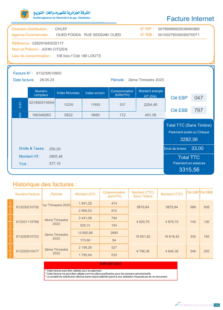 download Algeria Societe Algerien Distribution internet utility bill Word and PDF template PDF template